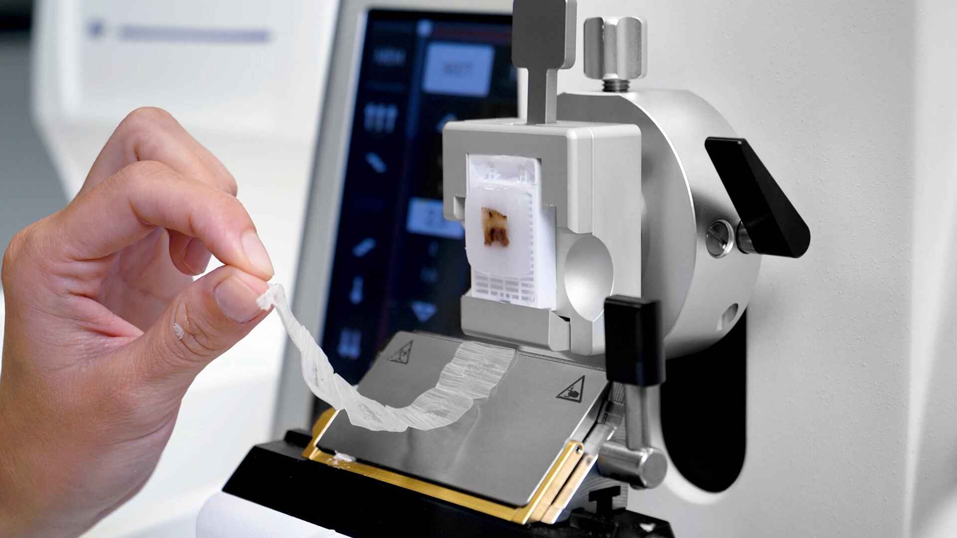 Foto corte parafina 11zon -