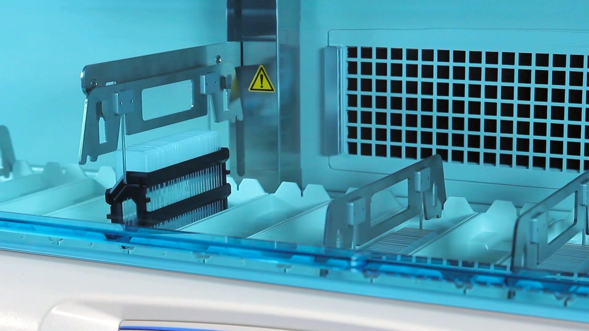 SELECCIONADA 11zon -